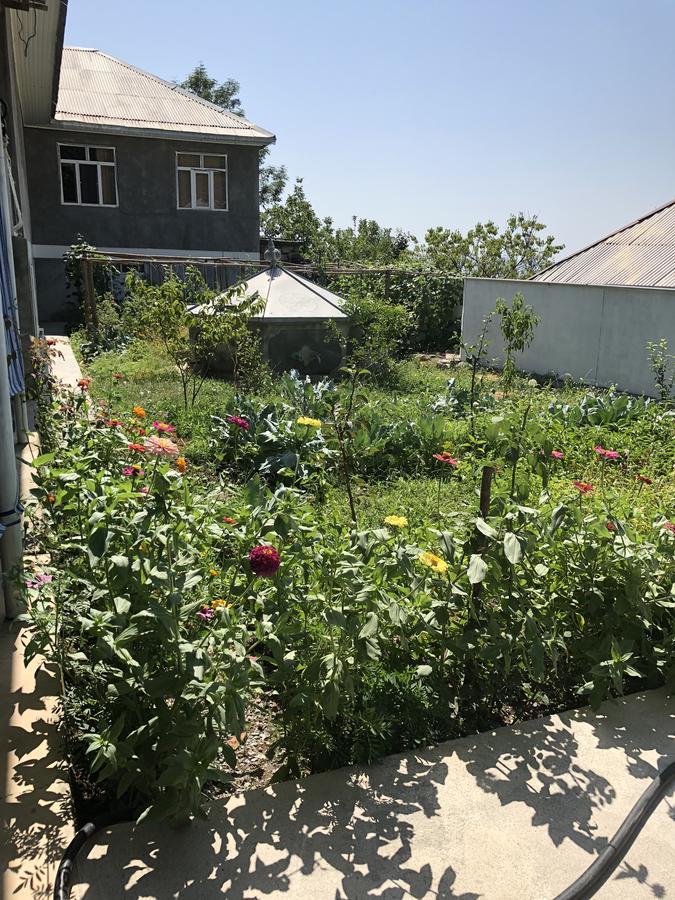Bed and Breakfast Shaki Host House Şǝki Exterior foto